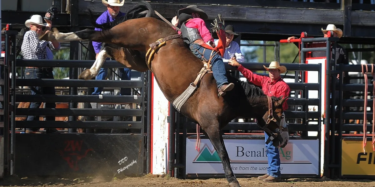 2026- Benalto Fair & Stampede